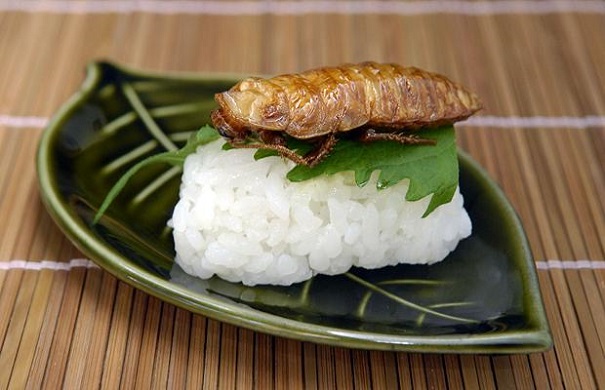 cockroach sushi