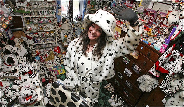 crazy collections - dalmation