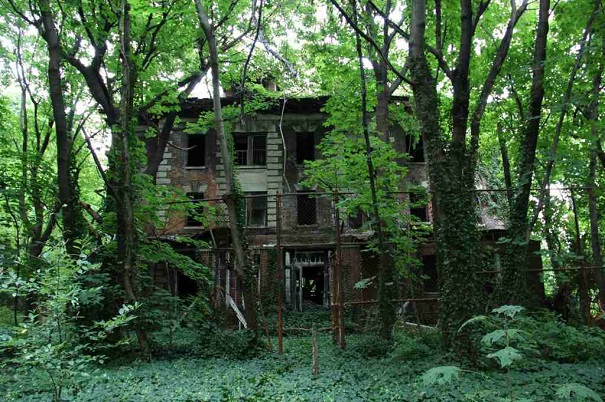north brother island hospital complex (3)