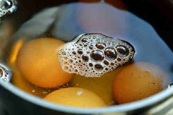 urine soaked eggs