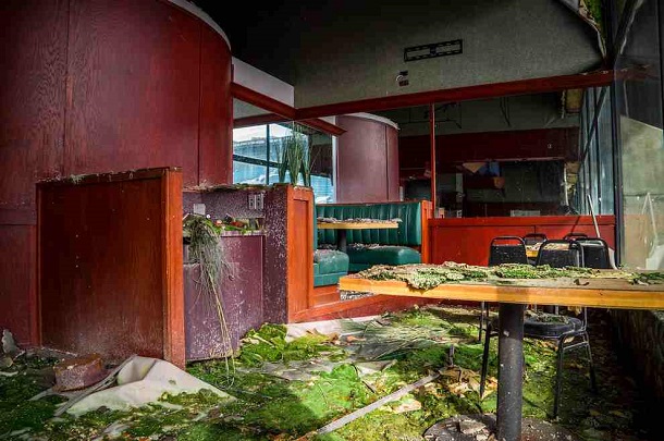 abandoned pontiac silverdome 13