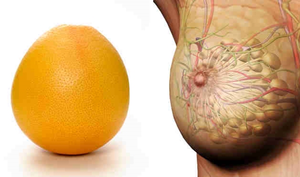 foods resembling body parts (2)