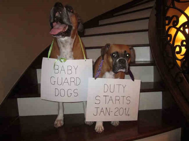 funny baby announcements 7