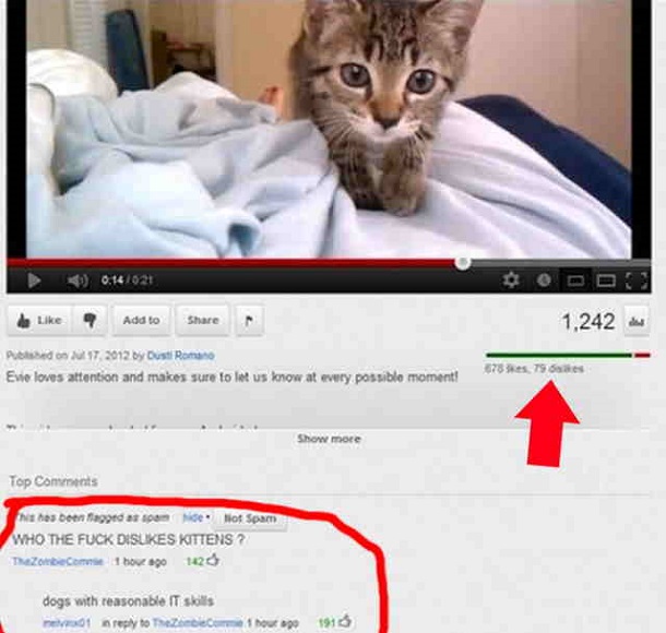 funny youtube comments (22)