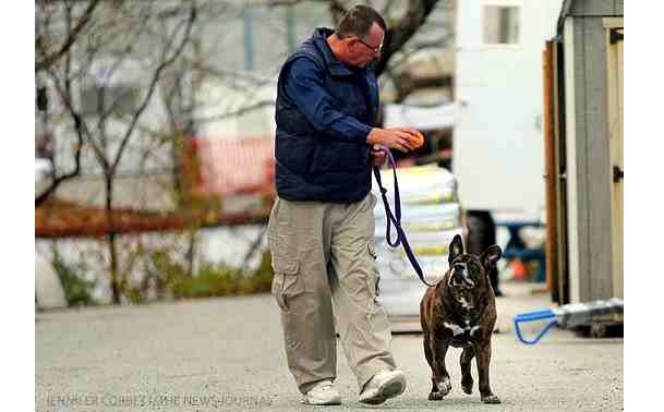 homeless man walks miles to see dog - 2