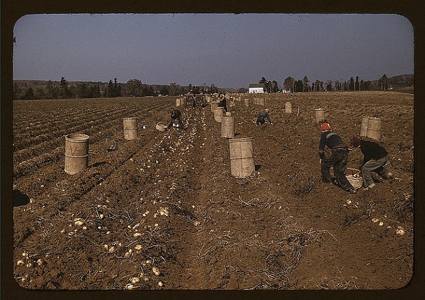 rare color photos - 1940s (11)