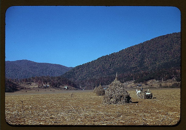 rare color photos - 1940s (13)