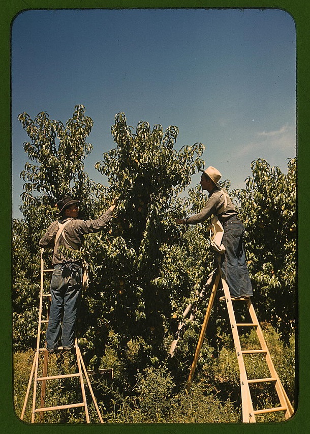 rare color photos - 1940s (28)