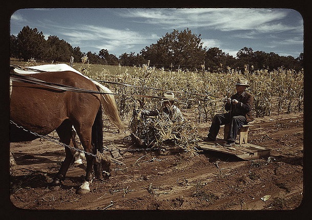 rare color photos - 1940s (37)