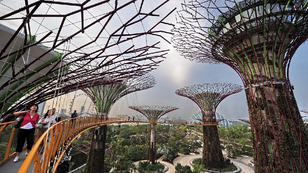 Supertree Grove, Gardens by the Bay, Singapore