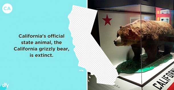 embarrassing state fact - california