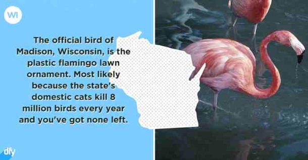 embarrassing state fact - wisconsin