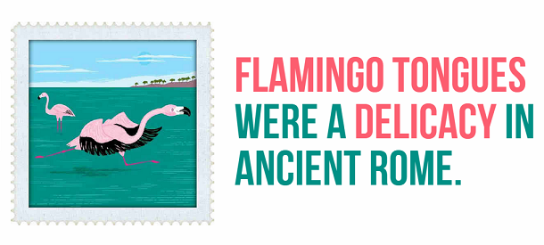 facts about ancient rome - flamingo tongues