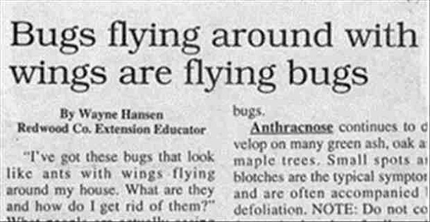 funny news headlines 11