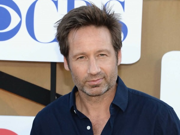 smart celebrities - david duchovny