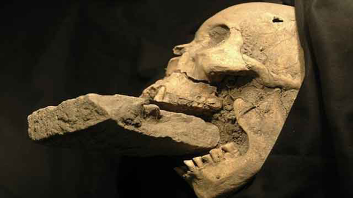 archaeological discoveries - venetian vampire