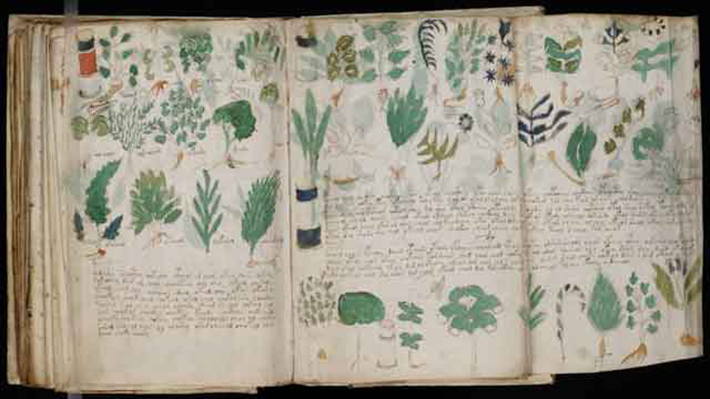 archaeological discoveries - voynich manuscript