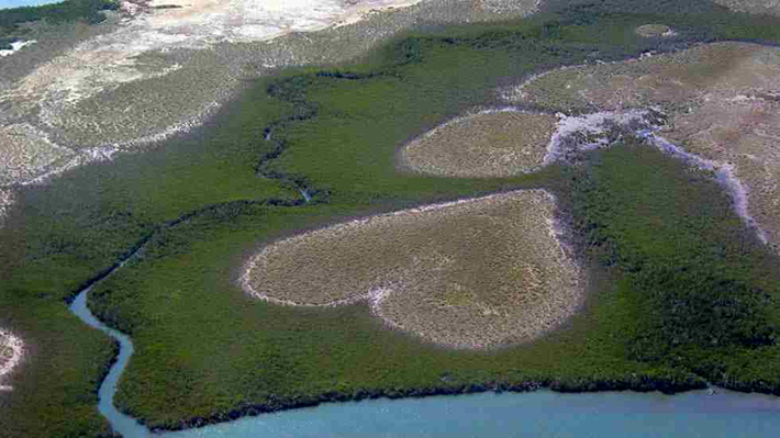 heart-shaped islands - coeur de voh new caledonia