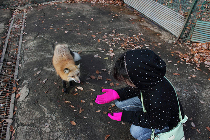 japan - zao fox village 4
