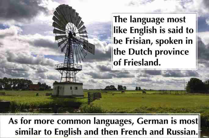 language facts 17