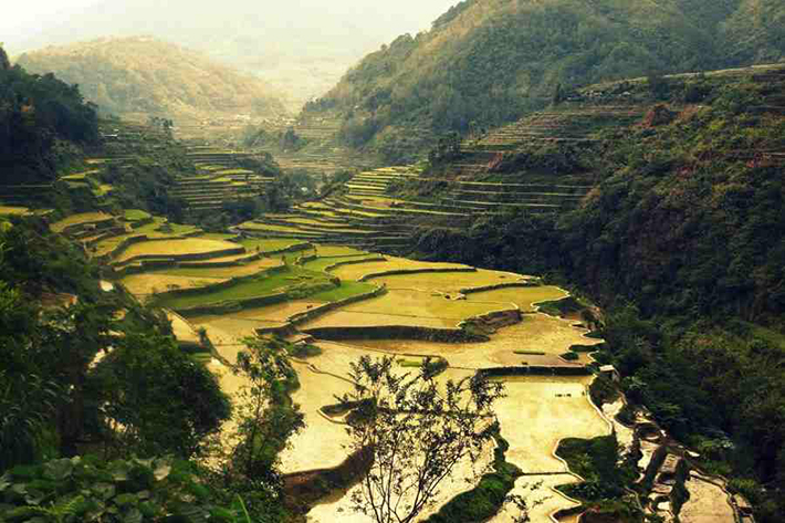 ph rice terraces 16