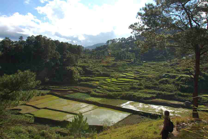 ph rice terraces 17