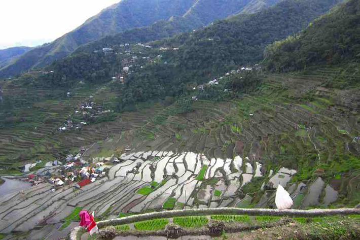 ph rice terraces 18