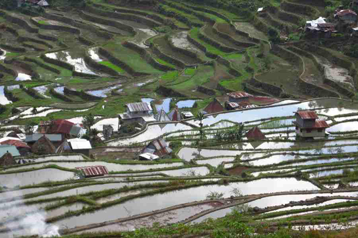 ph rice terraces 19