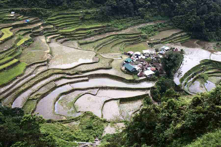 ph rice terraces 20