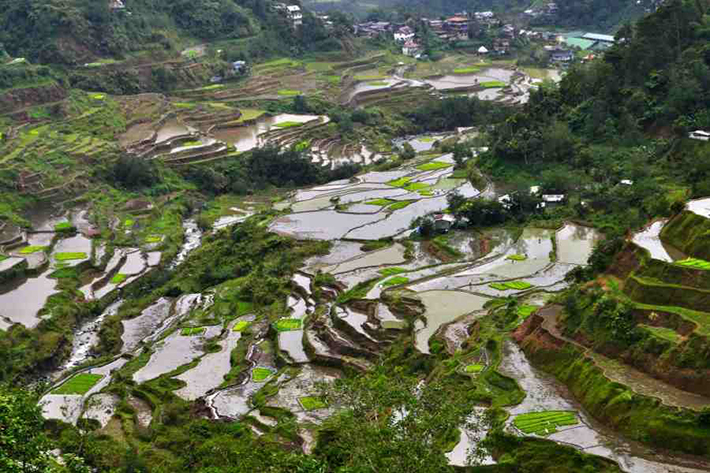 ph rice terraces 21