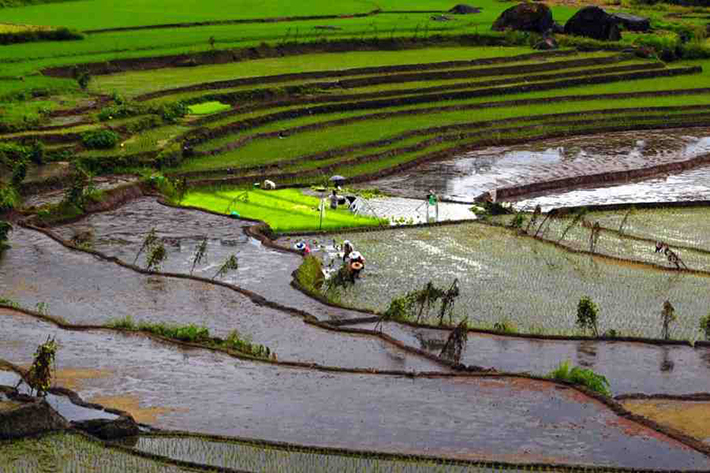 ph rice terraces 25