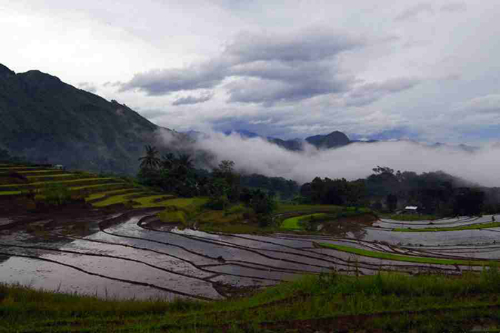 ph rice terraces 26