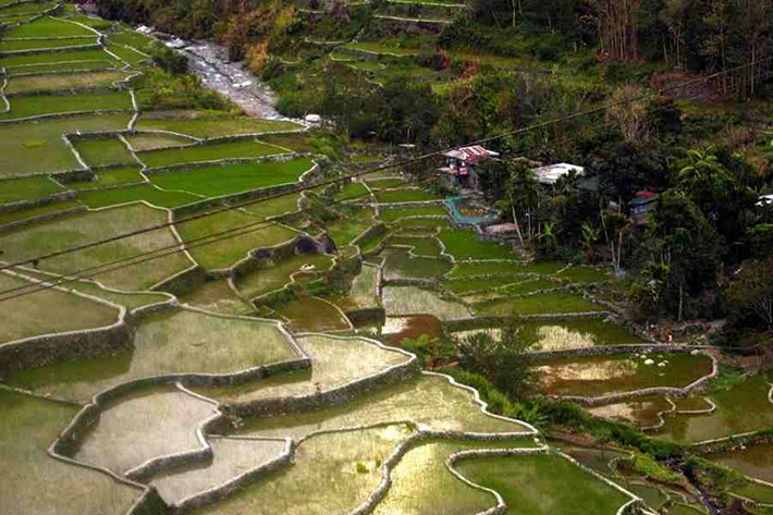 ph rice terraces 27