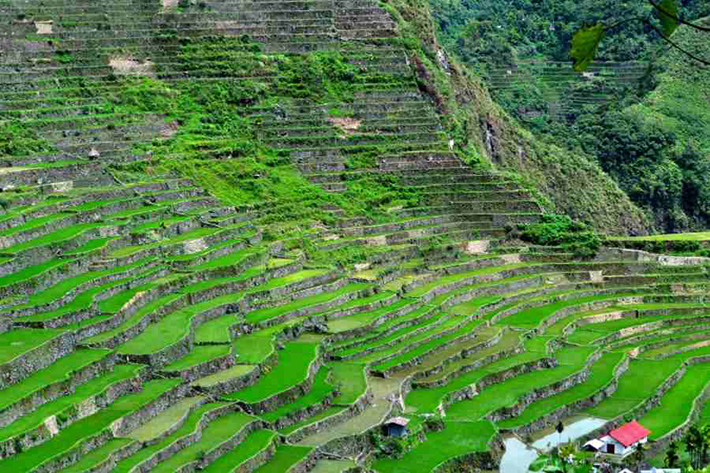 ph rice terraces 3