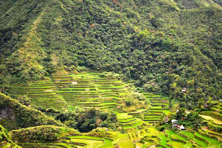 ph rice terraces 35