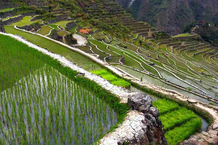 ph rice terraces 36