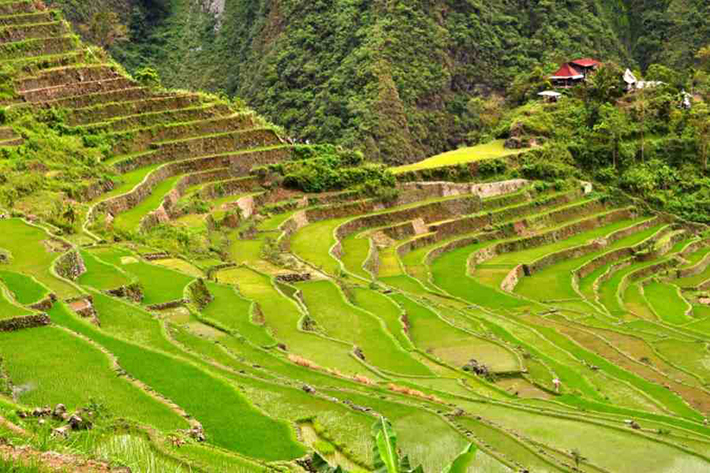 ph rice terraces 37