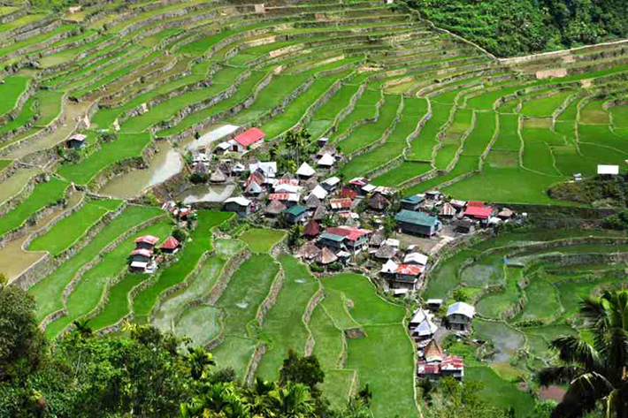 ph rice terraces 38