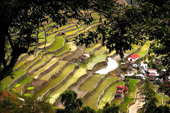 ph rice terraces 39