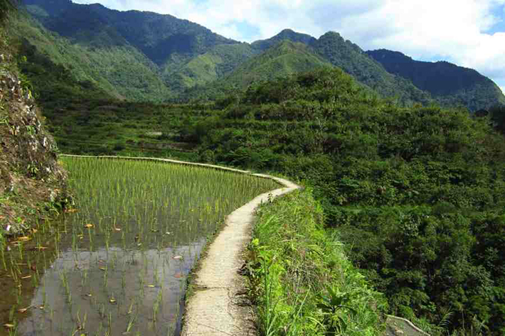 ph rice terraces 4