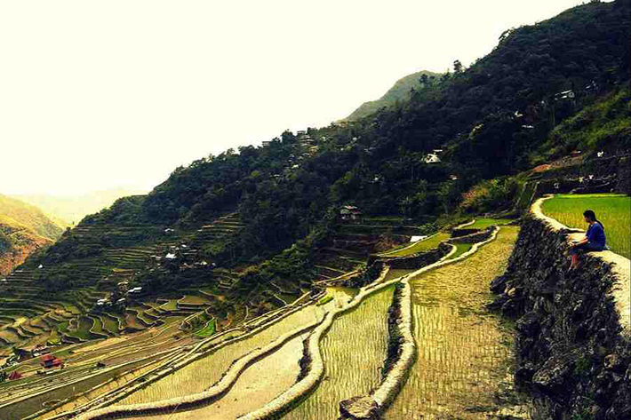 ph rice terraces 40