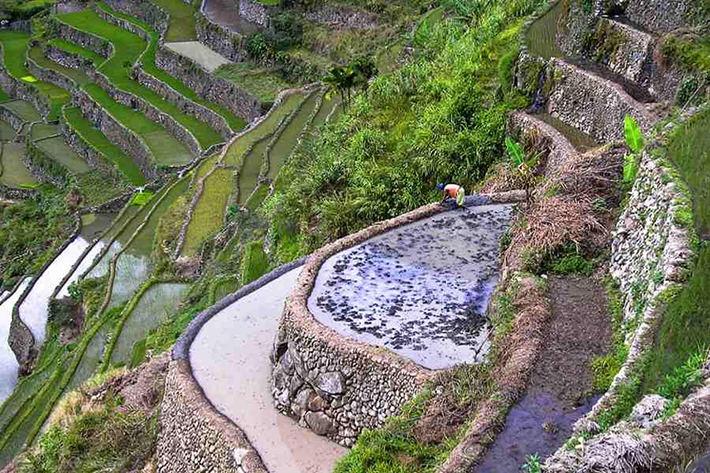 ph rice terraces 6