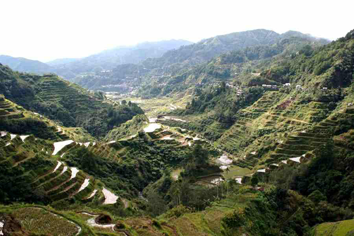 ph rice terraces 7