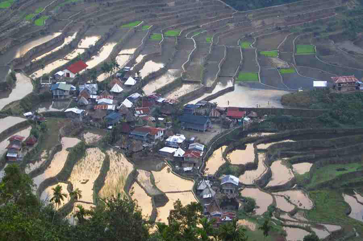 ph rice terraces 9