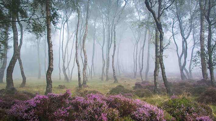 stanton moor uk