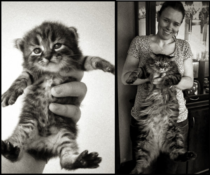 then and meow (6)