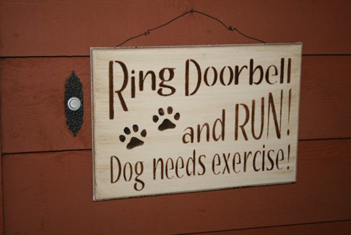 funny dog signs 13