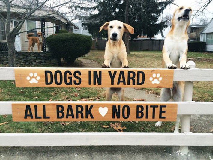 funny dog signs 14