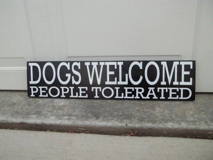 funny dog signs 17