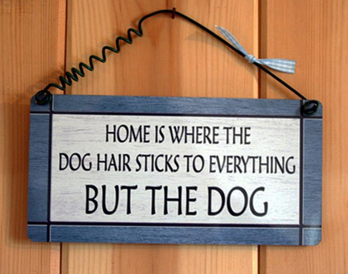 funny dog signs 20